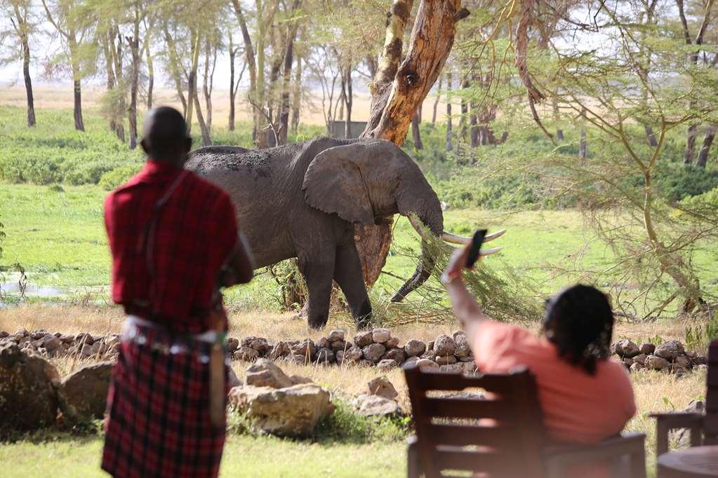 Amboseli Serena Safari Lodge Зручності фото